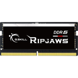 Модуль пам'яті для ноутбука SoDIMM DDR5 16GB 5600 MHz G.Skill (F5-5600S4040A16GX1-RS)