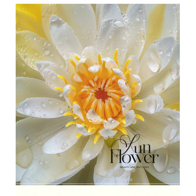Зошит Школярик Sun Flower 60 аркушів клітинка (060-3456K)
