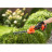 Кущоріз Black&amp;Decker 18 В, 2Ah, насадки- 20 см/8 мм, 10 см/18 мм, (BCSS18D1)