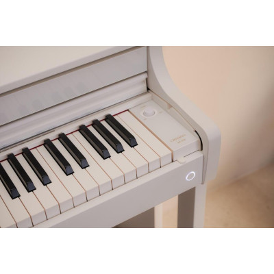 Цифрове піаніно Casio AP-550WE (363168)