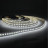 Світлодіодна стрічка LED-STIL 6000K 12 Вт/м 2835 128 діодів IP33 24 Вольта 1950 lm холодне світло (DFP2835-128B6-IP33-24V)