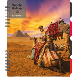 Блокнот Optima World Heritage B5 з розділювачами 120 аркушів, клітинка (O20356-25)