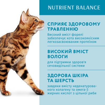 Вологий корм для кішок Optimeal з фореллю в кремовому соусі 85 г (4820215365864)