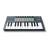 MIDI-клавіатура Novation FLkey Mini (233536)