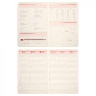 Тижневик Leo planner А5 датований 2026 &quot;Polo&quot;, м‘який, графітовий, 368 сторінок (252694)