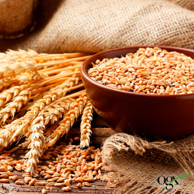 Шампунь OGX Biotin&amp;Collagen для позбавлених об&#039;єму, тонк. волосся 385 мл (0022796976703)