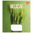 Зошит Yes Believe in yourself 24 аркушів лінія (767036)