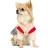Костюм для тварин Pet Fashion Спейс S (4823082416158)
