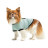 Футболка для тварин Pet Fashion Oscar XS блакитна (4823082441389)