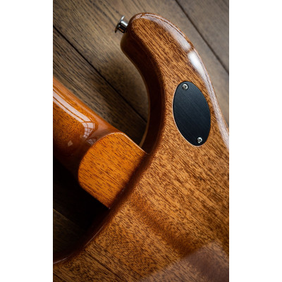Електрогітара PRS McCarty 594 Yellow Tiger