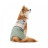 Костюм для тварин Pet Fashion Patrik S (4823082434411)