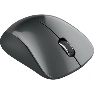 Мишка Canyon MW-11 Wireless Pixart Black (CNE-CMSW11B)