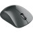 Мишка Canyon MW-11 Wireless Pixart Black (CNE-CMSW11B)