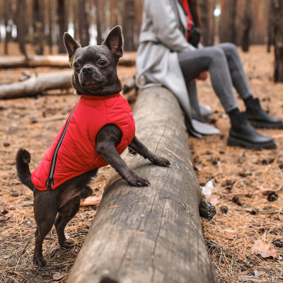 Жилет для тварин Pet Fashion &quot;E.Vest&quot; S-M червоний (4823082424467)