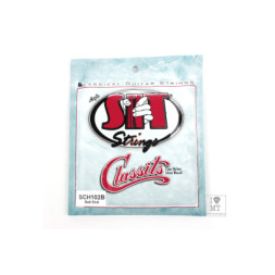 Струни для гітари SIT Strings SCH102B (30-44) (226934)