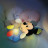 Нічник Clementoni М&#039;яка іграшка-нічник Baby Mickey (17206)