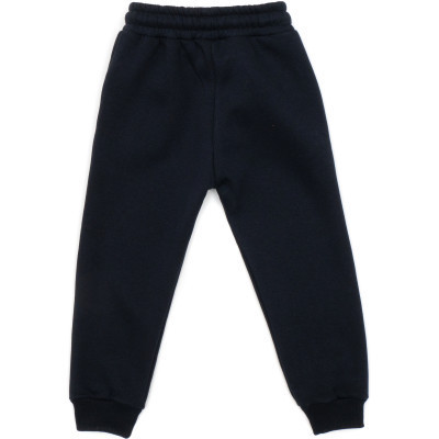 Спортивний костюм дитячий Cloise флісовий (CL0215003-104-blue)