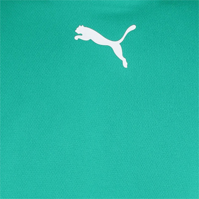 Футболка Puma teamRISE Jersey 704932-05 зелений M (4063699210316)