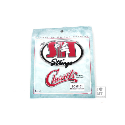 Струни для гітари SIT Strings SCM101 (30-40) (226930)