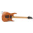 Електрогітара Ibanez RG421 MOL (220672)