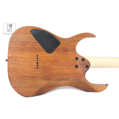 Електрогітара Ibanez RG421 MOL (220672)