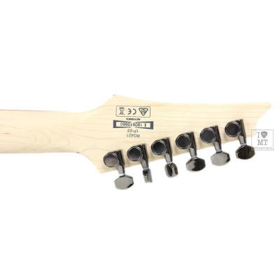 Електрогітара Ibanez RG421 MOL (220672)