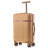 Валіза Semi Line 20&quot; (S) Gold (T5667-2) (DAS302654)