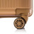 Валіза Semi Line 20&quot; (S) Gold (T5667-2) (DAS302654)