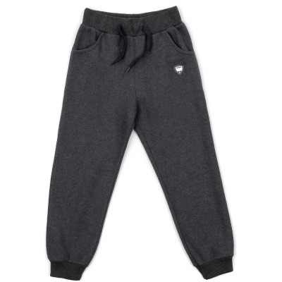 Спортивний костюм дитячий Breeze з емблемою (18239-116B-gray)
