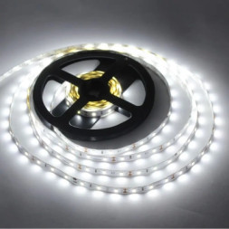 Світлодіодна стрічка LED-STIL 6000K 6 Вт/м 2835 (діоди Samsung) 60 діодів IP33 12 Вольт 650 lm (DFN2835S-60A-IP20-CW)