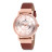 Наручний годинник Daniel Klein DK12076-3