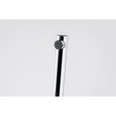 Змішувач Hansgrohe Lina L Pull Out, 254мм, хром (115.0712.420)