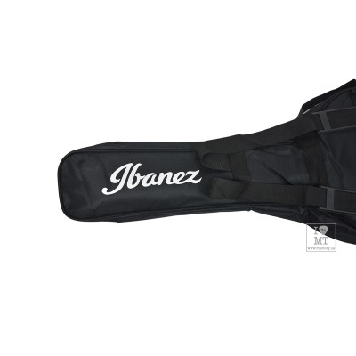 Чохол для гітари Ibanez ICB101 (208769)