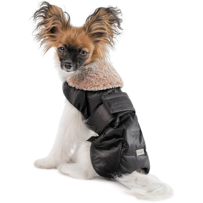 Попона для тварин Pet Fashion Ted XS2 чорно-сіра (4823082443178)