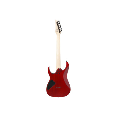 Електрогітара Ibanez RG421PB CHF (230535)