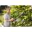 Кущоріз Gardena EasyCut 420/45, 420 Вт, 45 см (09830-20.000.00)