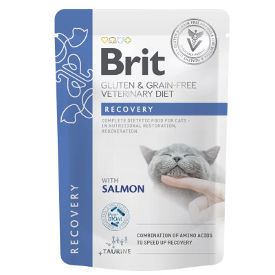 Вологий корм для кішок Brit GF VetDiets Recovery з лососем 85 г (8595602566693)