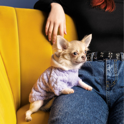 Толстовка для тварин Pet Fashion DELICATE S (бузок) (4823082429790)