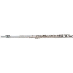 Флейта Maxtone TFC60N