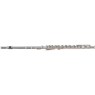 Флейта Maxtone TFC60N