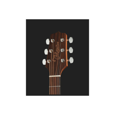 Гітара акустична Takamine GD11M NS (221924)