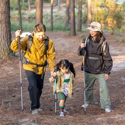 Трекінгові палиці Naturehike 1шт ST 01 6061 AL NH17D001-Z золотиста (6975641885658)