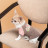 Футболка для тварин Pet Fashion Rose S (4823082434367)