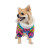 Комбінезон для тварин Pet Fashion &quot;AMAZE&quot; M (4823082423286)