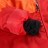 Куртка Alpine Pro Malefa LJCY546 442 червоний/оранжевий S (007.016.0295)
