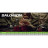Черевики Salomon Quest 4D Forces 2 High GTX Coyote 12 (L47234200-12)