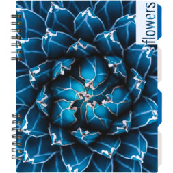 Блокнот Optima Flowers, B5 з розділювачами 120 аркушів, клітинка (O20356-14)