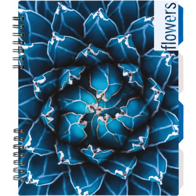 Блокнот Optima Flowers, B5 з розділювачами 120 аркушів, клітинка (O20356-14)