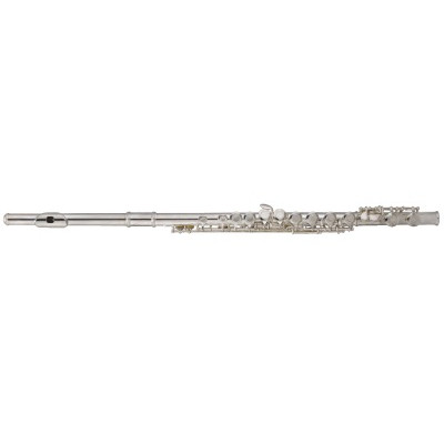 Флейта Maxtone TFC53N/1