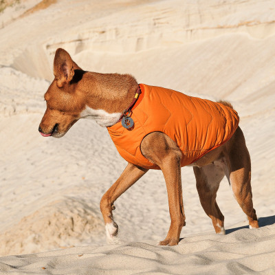 Жилет для тварин Pet Fashion &quot;E.Vest&quot; S-M помаранчевий (4823082424306)